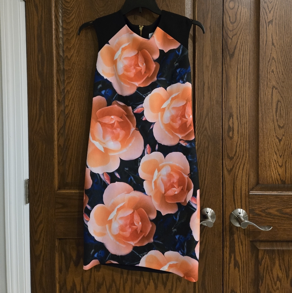 Calvin Klein Floral Blue and Pink Dress